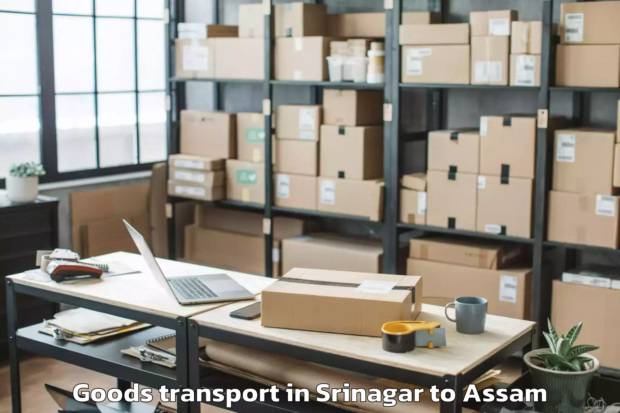 Get Srinagar to Dispur Goods Transport